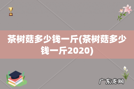 茶树菇多少钱一斤2020 茶树菇多少钱一斤