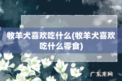 牧羊犬喜欢吃什么零食 牧羊犬喜欢吃什么