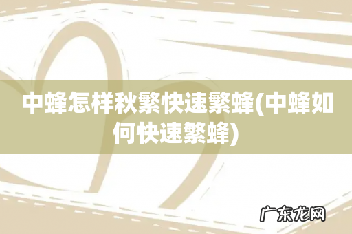 中蜂如何快速繁蜂 中蜂怎样秋繁快速繁蜂