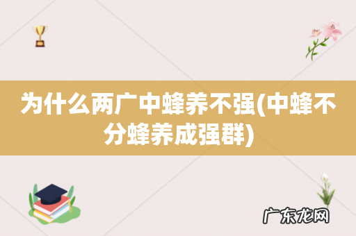 中蜂不分蜂养成强群 为什么两广中蜂养不强