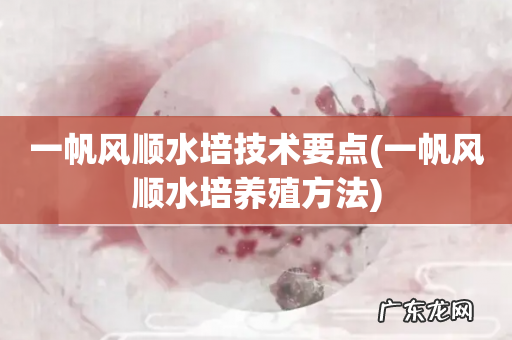 一帆风顺水培养殖方法 一帆风顺水培技术要点