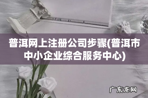 普洱市中小企业综合服务中心 普洱网上注册公司步骤
