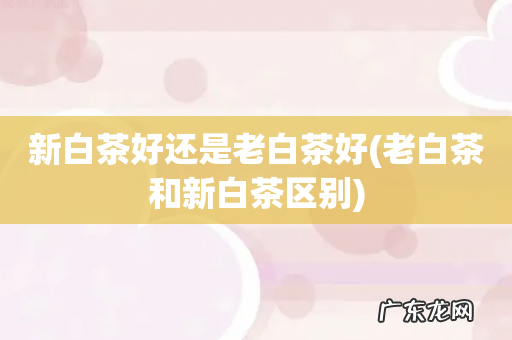 老白茶和新白茶区别 新白茶好还是老白茶好