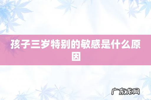 孩子三岁特别的敏感是什么原因