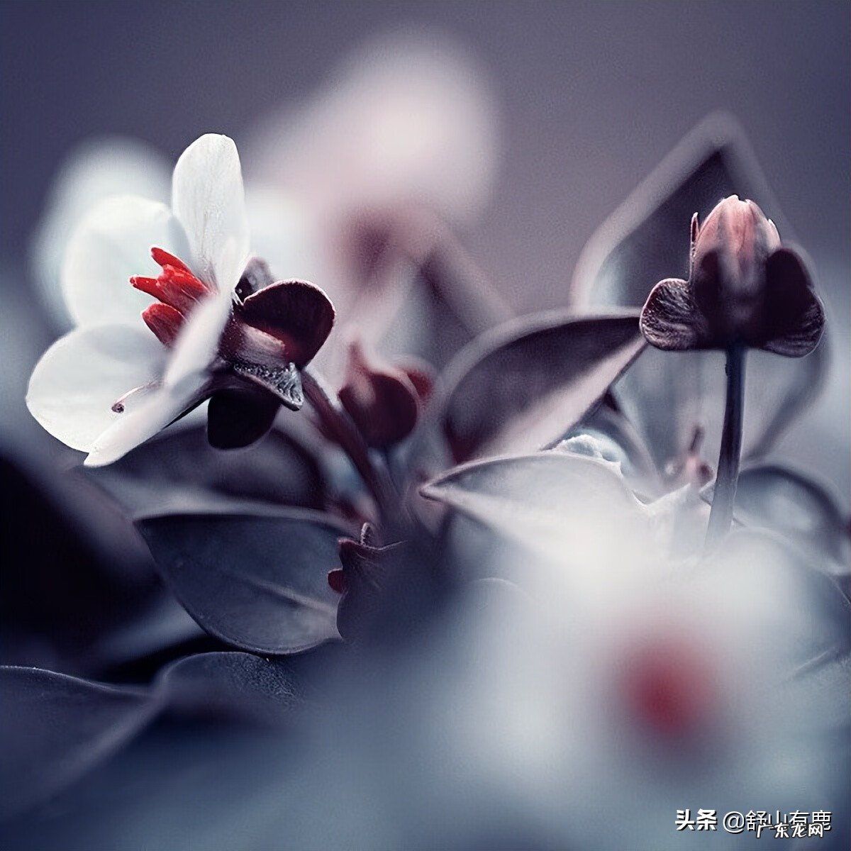 学风水从哪里开始学起 学风水去哪比较好