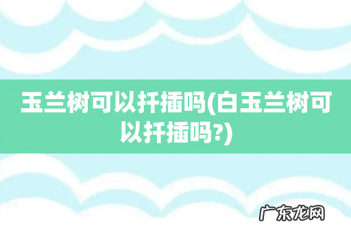 白玉兰树可以扦插吗? 玉兰树可以扦插吗
