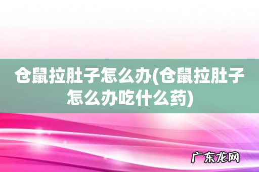 仓鼠拉肚子怎么办吃什么药 仓鼠拉肚子怎么办