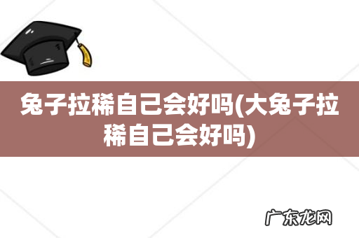 大兔子拉稀自己会好吗 兔子拉稀自己会好吗