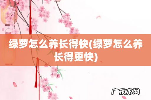 绿萝怎么养长得更快 绿萝怎么养长得快