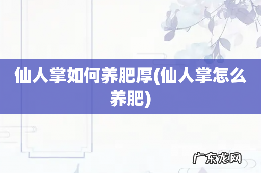 仙人掌怎么养肥 仙人掌如何养肥厚