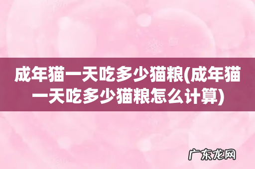 成年猫一天吃多少猫粮怎么计算 成年猫一天吃多少猫粮
