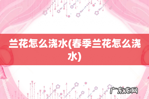 春季兰花怎么浇水 兰花怎么浇水