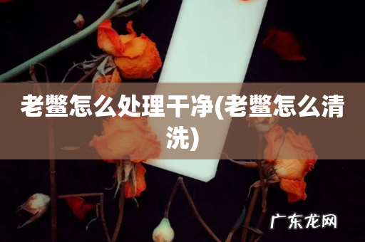 老鳖怎么清洗 老鳖怎么处理干净