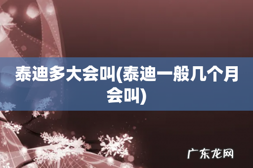 泰迪一般几个月会叫 泰迪多大会叫