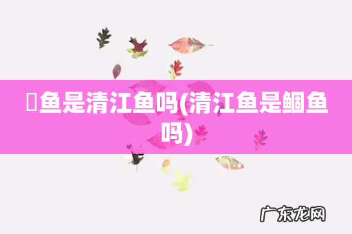 清江鱼是鲴鱼吗 鮰鱼是清江鱼吗
