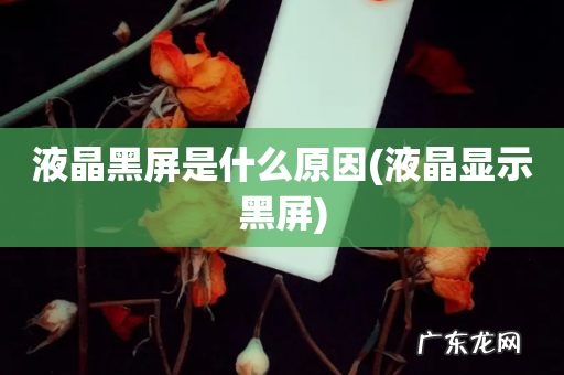 液晶显示黑屏 液晶黑屏是什么原因