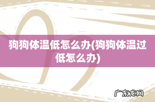 狗狗体温过低怎么办 狗狗体温低怎么办