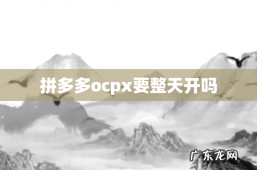 拼多多ocpx要整天开吗
