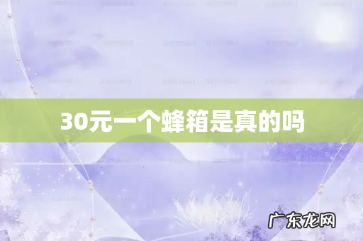 30元一个蜂箱是真的吗