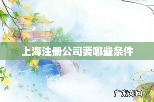 上海注册公司要哪些条件