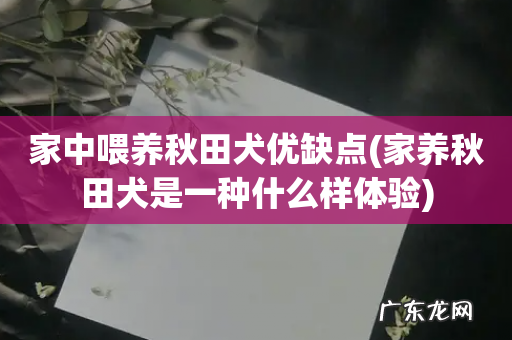 家养秋田犬是一种什么样体验 家中喂养秋田犬优缺点