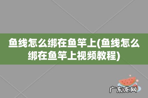 鱼线怎么绑在鱼竿上视频教程 鱼线怎么绑在鱼竿上