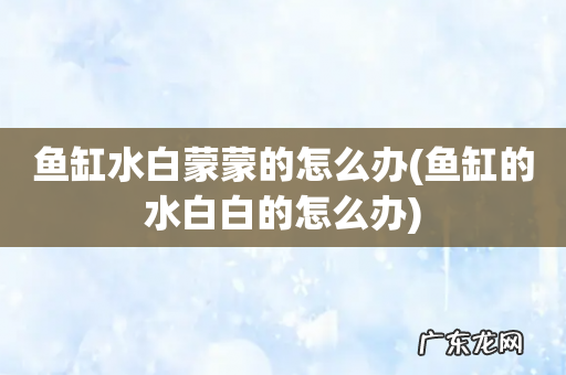 鱼缸的水白白的怎么办 鱼缸水白蒙蒙的怎么办