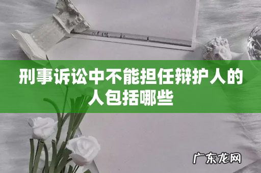 刑事诉讼中不能担任辩护人的人包括哪些