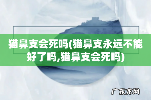 猫鼻支永远不能好了吗,猫鼻支会死吗 猫鼻支会死吗