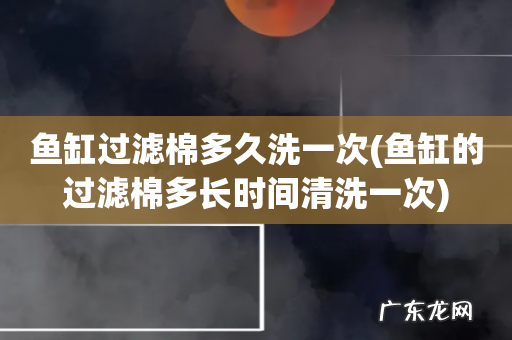 鱼缸的过滤棉多长时间清洗一次 鱼缸过滤棉多久洗一次