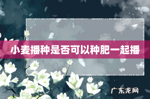 小麦播种是否可以种肥一起播