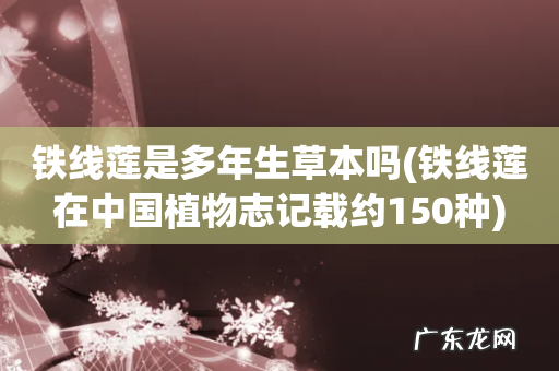 铁线莲在中国植物志记载约150种 铁线莲是多年生草本吗