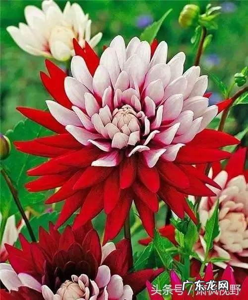 心灵相通 灵犀相通的意思