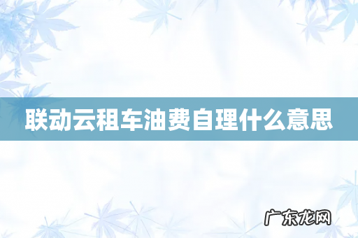 联动云租车油费自理什么意思