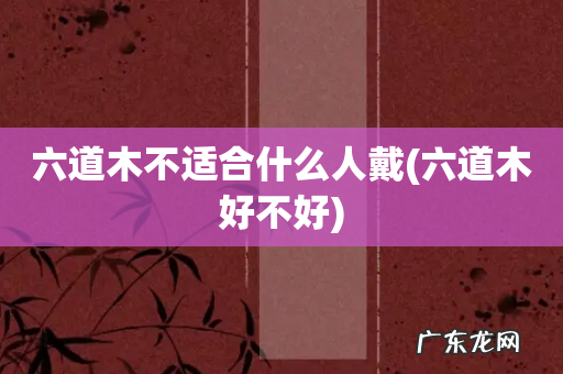 六道木好不好 六道木不适合什么人戴