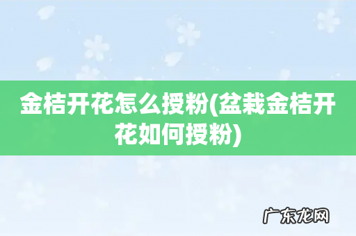 盆栽金桔开花如何授粉 金桔开花怎么授粉