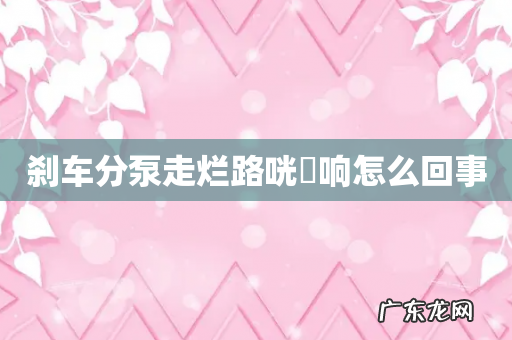 刹车分泵走烂路咣硄响怎么回事