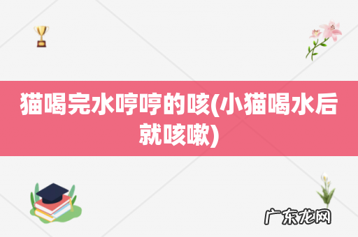 小猫喝水后就咳嗽 猫喝完水哼哼的咳