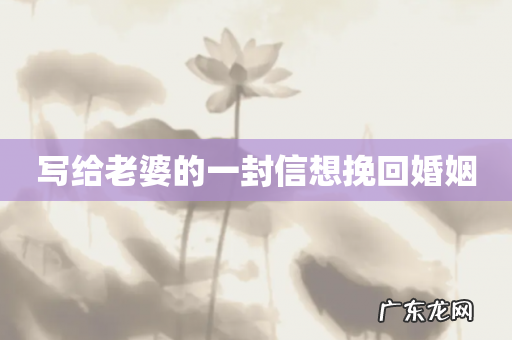 写给老婆的一封信想挽回婚姻