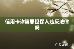 信用卡诈骗罪担保人违反法律吗