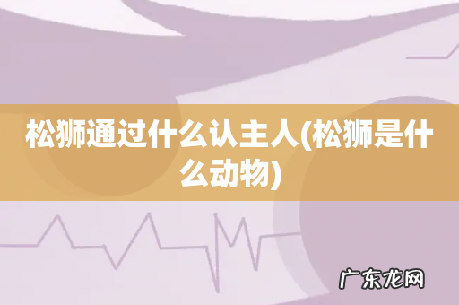 松狮是什么动物 松狮通过什么认主人