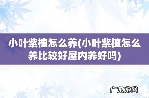 小叶紫檀怎么养比较好屋内养好吗 小叶紫檀怎么养