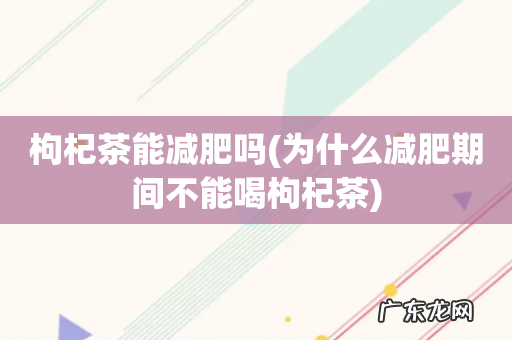 为什么减肥期间不能喝枸杞茶 枸杞茶能减肥吗