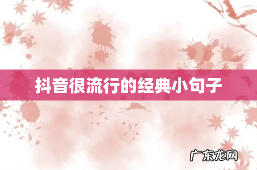 抖音很流行的经典小句子