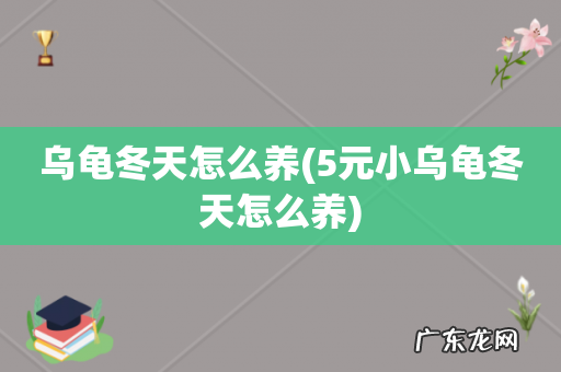 5元小乌龟冬天怎么养 乌龟冬天怎么养