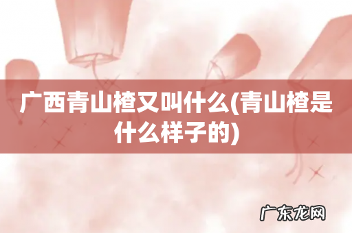 青山楂是什么样子的 广西青山楂又叫什么