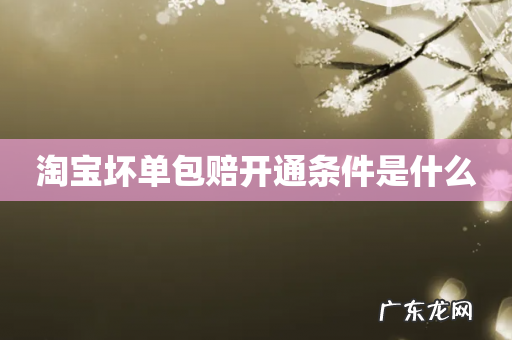 淘宝坏单包赔开通条件是什么