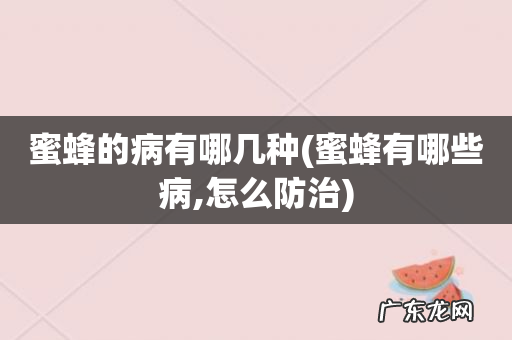 蜜蜂有哪些病,怎么防治 蜜蜂的病有哪几种