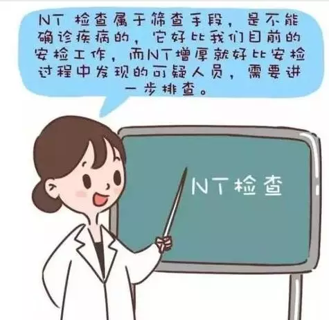 nt检查什么项目 nt是检查什么