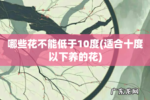 适合十度以下养的花 哪些花不能低于10度